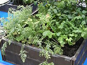 菜園ランド 製品の使用例